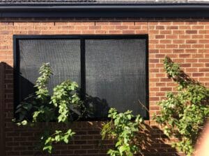 titan federation doors